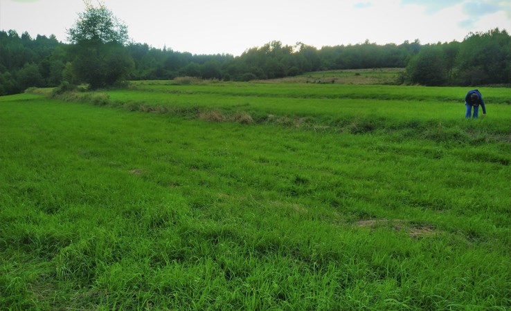 działka na sprzedaż - Świnna
