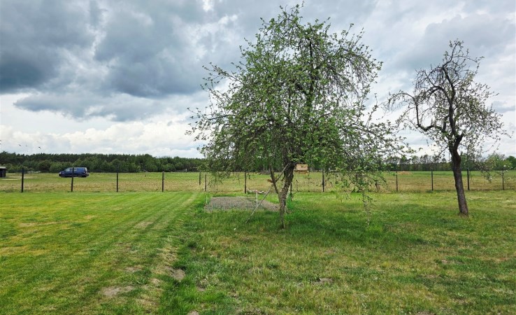 działka na sprzedaż - Sośnicowice (gw), Trachy