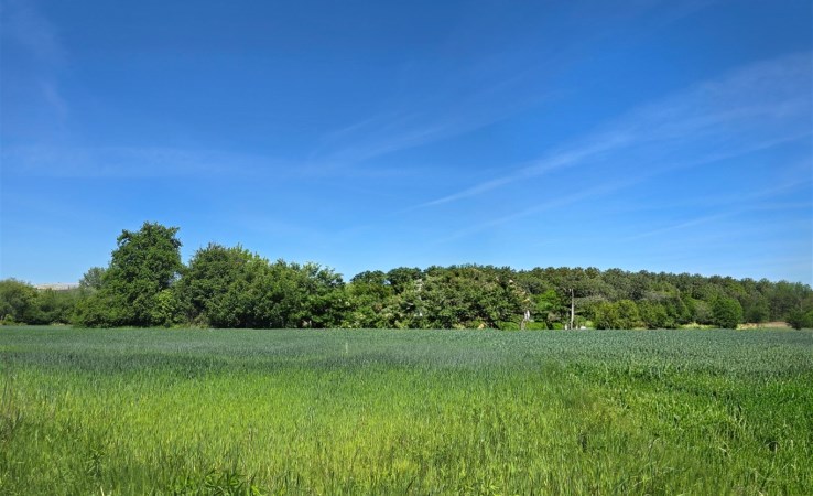 działka na sprzedaż - Gliwice, Łabędy